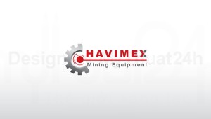 Thiết kế logo Havimex